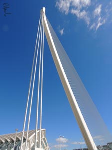 Il ponte di Calatrava