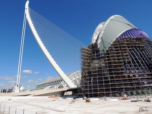 Il ponte di Calatrava 2